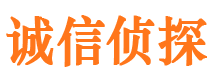 平塘婚外情调查取证